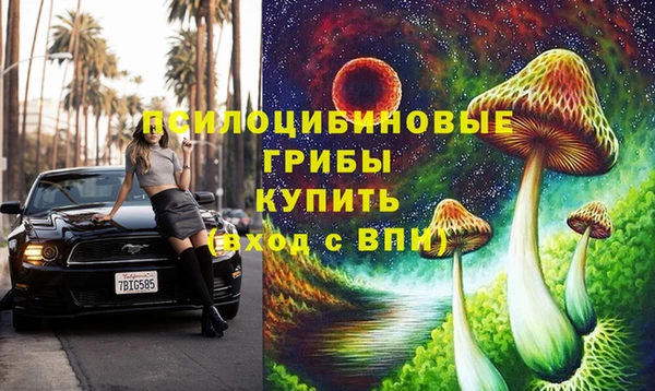apvp Зеленокумск